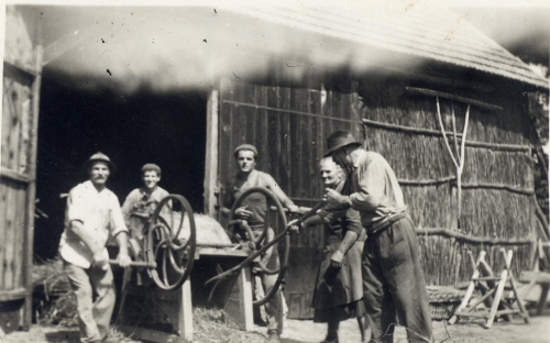 Cséplés Csanakon 1950-es évek