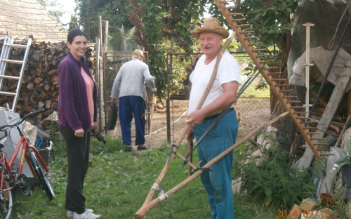 Indul az aratóbanda